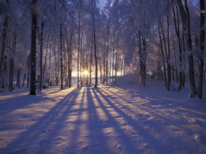 Winter_Scenes_6032-1