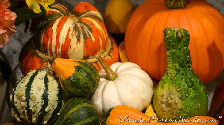 This year we were able to enjoy fresh organic produce from an amazing small farm not far from us. All the squash, pumpkins and gourds come from this farm. I have so enjoyed the variety of shapes, textures, and colors.