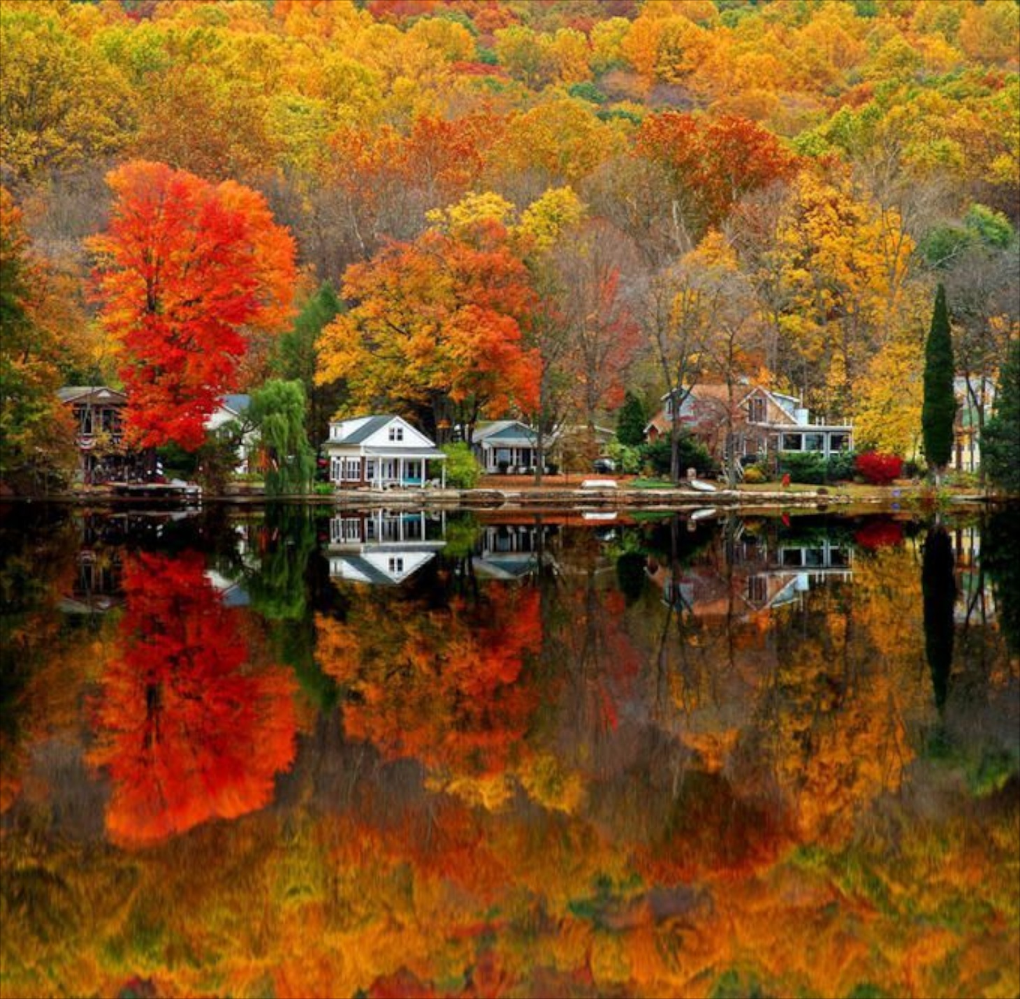 Красивая осень. Красота осени. Осенний пейзаж. Яркие краски осени.